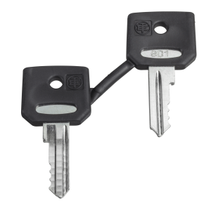 ZBG421E - Harmony XB4, Set of 2 keys, Ronis 421E Schneider Electric
