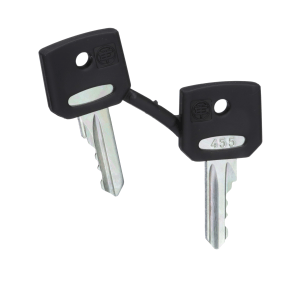 ZBG455 - Harmony XB4, Set of 2 keys, Ronis 455 Schneider Electric