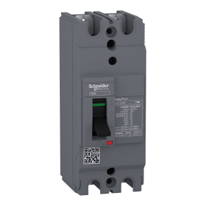 EZC100H2016 - circuit breaker Easypact EZC100H - TMD - 16 A - 2 poles 2d Schneider Electric