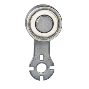 ZCKY15 - Limit switch lever, Limit switches XC Standard, thermoplastic roller ZCK Y for Telemecanique Sensors